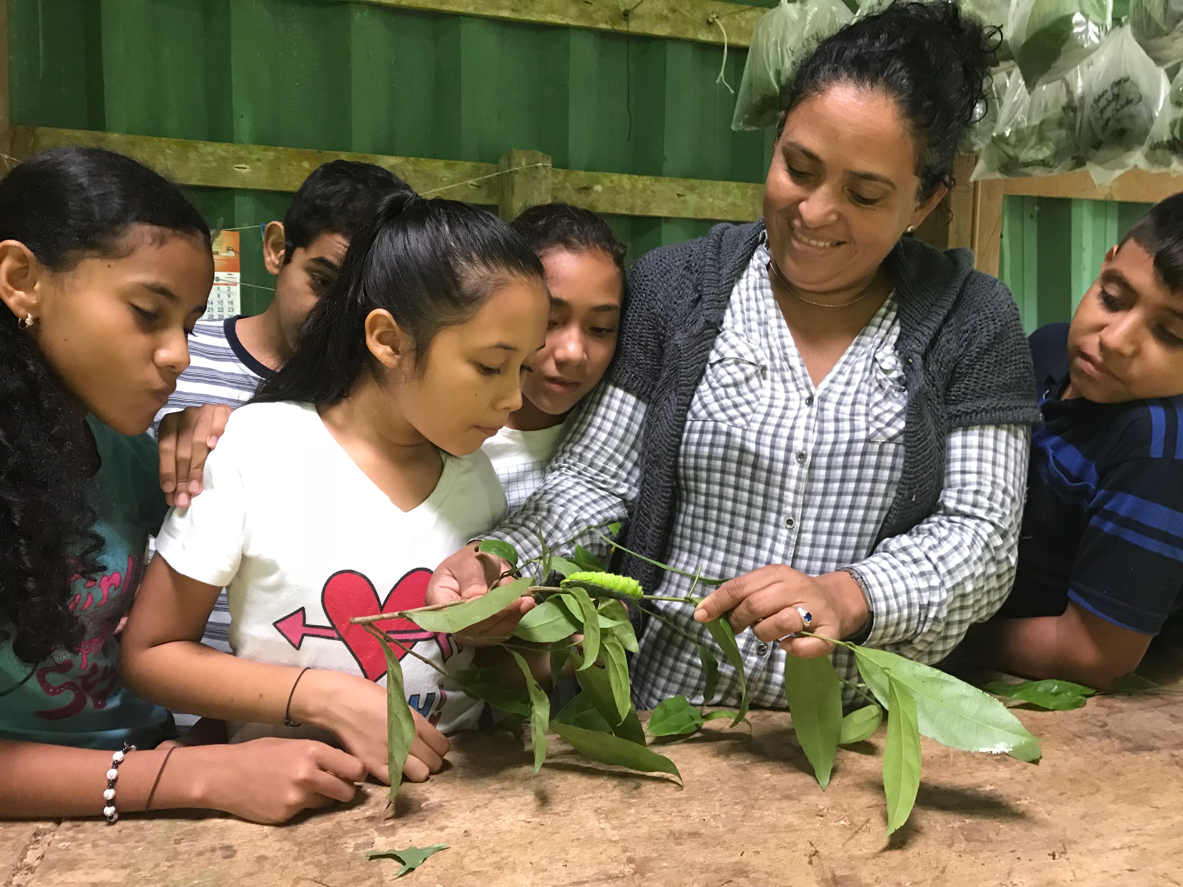 Actividad educativa del PEB